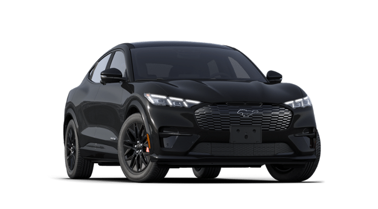 Mustang Mach-E® vehicle